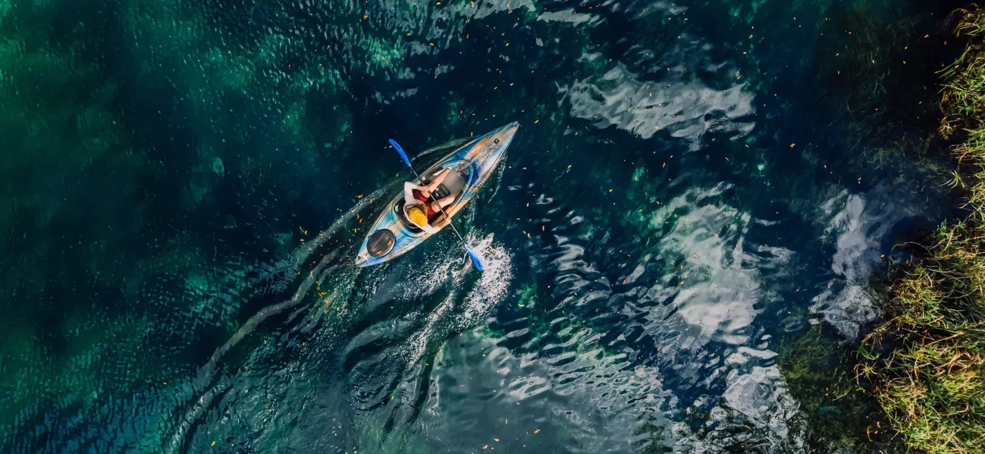 Pelican -Pelican dgdhf